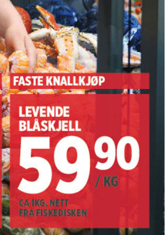 Meny Levende Blåskjell tilbud