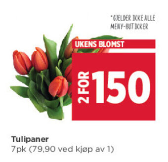 Meny Tulipaner tilbud
