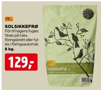 jem & fix Solsikkefrø tilbud