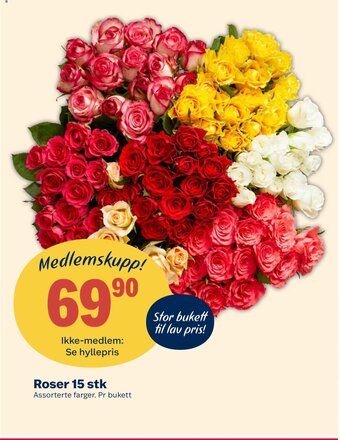 Coop Extra Roser 15 stk tilbud