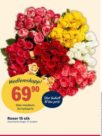 Coop Extra Roser 15 stk tilbud