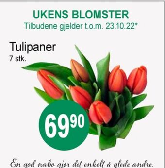 Joker Ukjent bukett tilbud