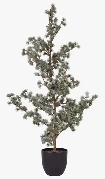 Juletre grønn