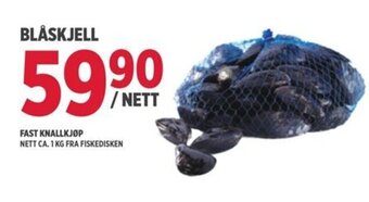 Blåskjell