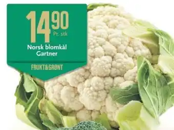 CC Mat Norsk Blomkål Gartner tilbud