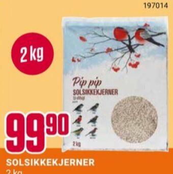 Europris Ukjent solsikkefrø tilbud