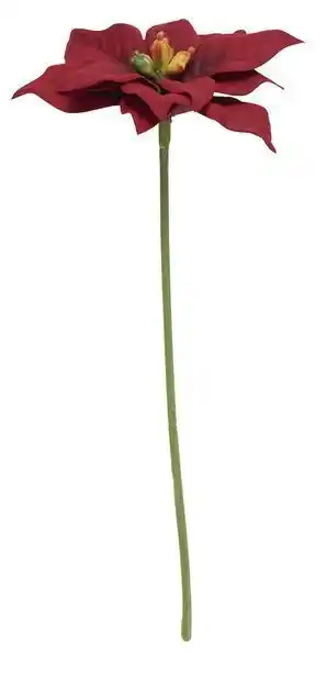 Rusta Julestjerne, mini tilbud