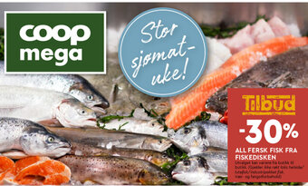 Coop Mega All Fersk Fisk Fra Fiskedisken tilbud