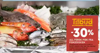 Coop Mega All Fresk Fisk Fra Fiskedisken tilbud