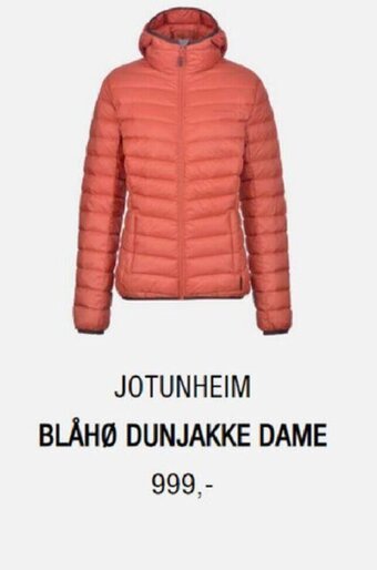 Sport 1 Jotunheim Blåhø Dunjakke Dame tilbud