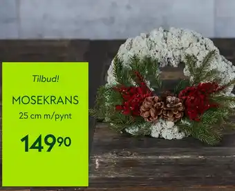 Hageland Mosekrans tilbud