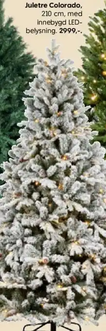 Rusta Juletre Colorado 210 cm. med innebygd LED belysning tilbud