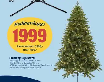 Ukjent juletre