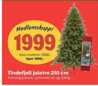 Coop Obs Ukjent juletre tilbud