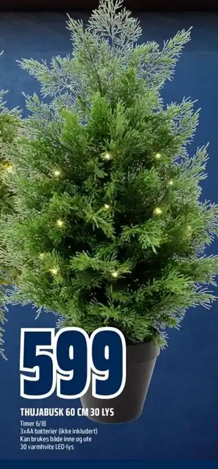Coop Obs Thujabusk 60 cm 30 lys tilbud
