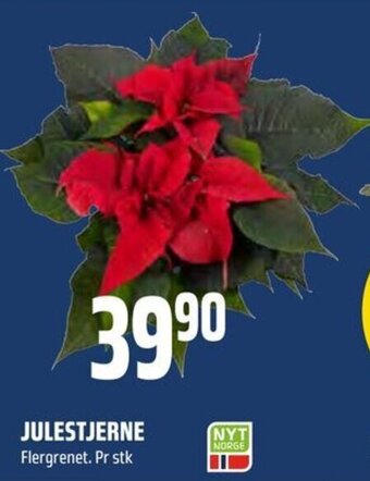 Coop Obs Julestjerne tilbud
