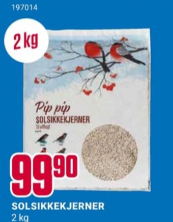 Europris Ukjent solsikkefrø tilbud