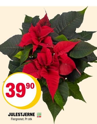 Coop Extra Julestjerne tilbud