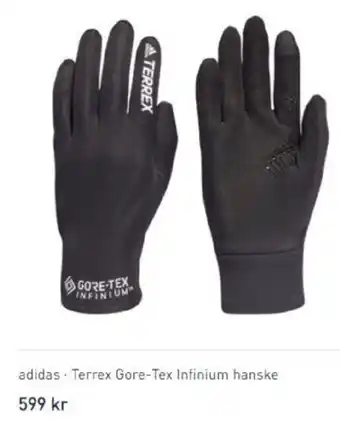Intersport Adidas . Terrex Gore-Tex Infinium Hanske tilbud
