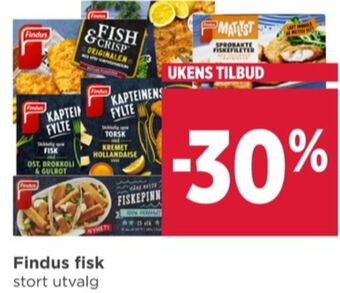 Meny Findus tilbud