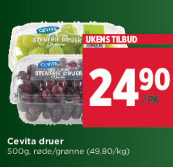 Meny Cevita Druer tilbud