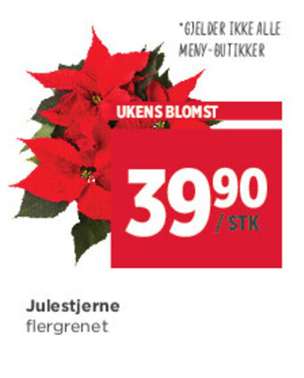 Meny Julestjerne tilbud