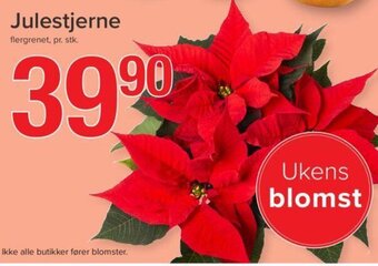 Spar Julestjerne tilbud