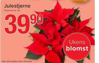 Spar Julestjerne tilbud