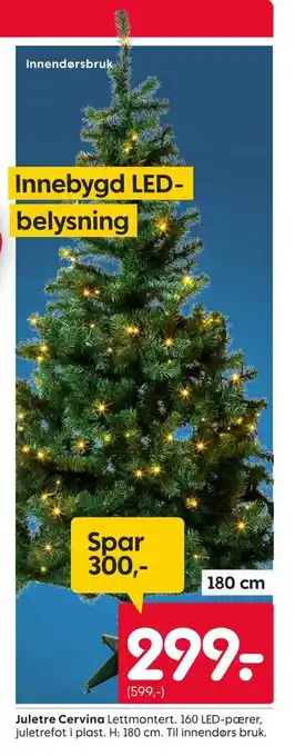 Rusta Juletre cervina tilbud