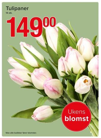 Spar Tulipaner tilbud