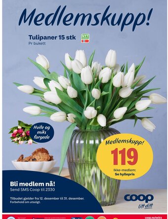 Coop Extra Tulipaner 15 stk. tilbud