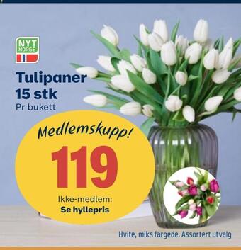 Coop Obs Tulipaner 15 stk tilbud