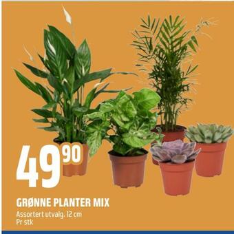 Coop Obs Grønne planter mix tilbud