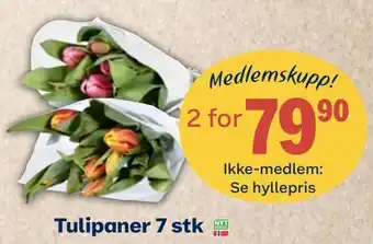 Coop Mega Tulipaner 7 stk tilbud