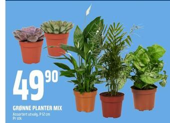 Coop Obs Grønne planter mix tilbud