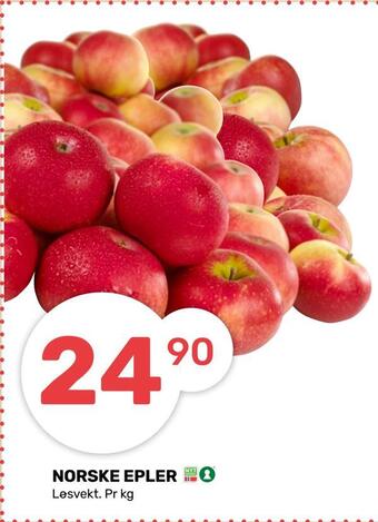 Matkroken Norske epler tilbud