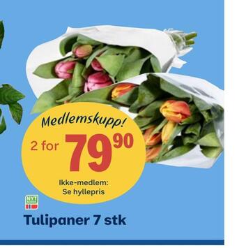 Coop Obs Tulipaner 7 stk tilbud