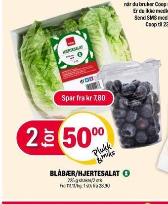 Blåbær/hjertesalat
