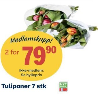 Coop Obs Tulipaner 7 Stk. tilbud