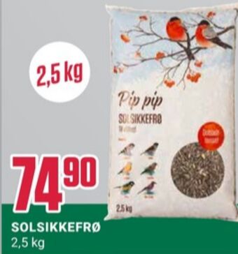 Europris Ukjent solsikkefrø tilbud