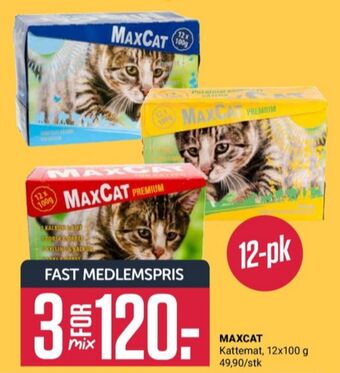 Europris Maxcat kattemat tilbud