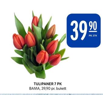 Rema 1000 Tulipaner 7 pk tilbud