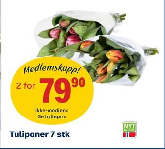 Coop Obs Tulipaner 7 stk tilbud
