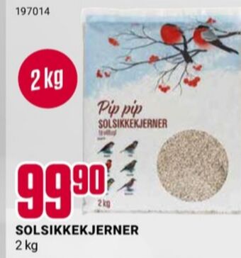 Europris Ukjent solsikkefrø tilbud
