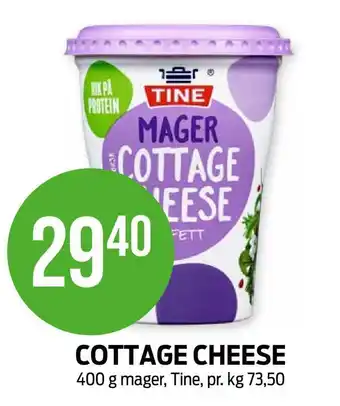 Kiwi Cottage cheese tilbud