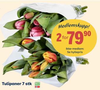 Coop Extra Tulipaner 7 stk tilbud