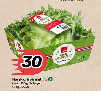 Coop Marked Norsk crispisalat tilbud