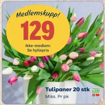 Coop Mega Tulipaner 20 pk tilbud
