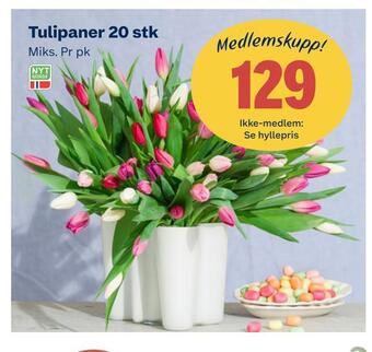 Coop Extra Tulipaner 20 stk tilbud
