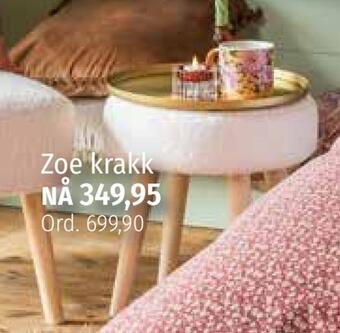 Nille Zoe krakk tilbud
